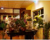 Sushi Restaurant nahe Heilbronn